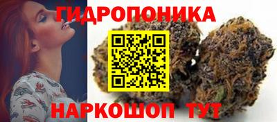 дживик Будённовск