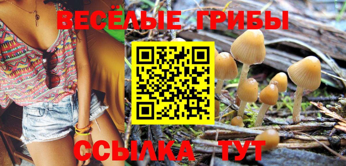 Мирный  Псилоцибиновые грибы MAGIC MUSHROOMS  Вход с VPN  где продают наркотики  Галлюциногенные грибы Psilocybine cubensis 