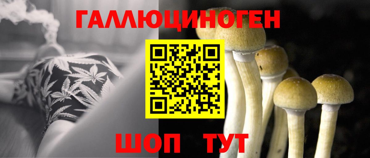 Псилоцибиновые грибы GOLDEN TEACHER Мирный